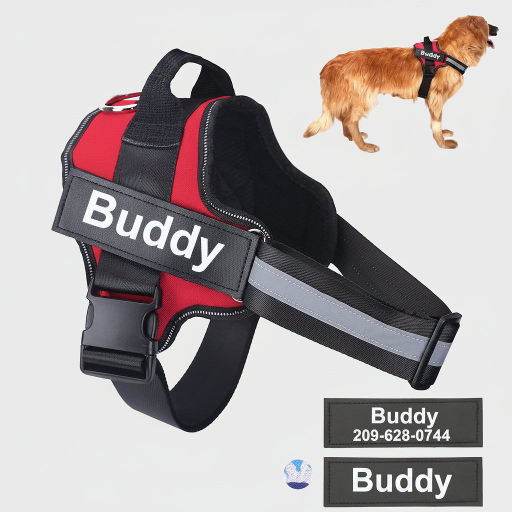 Red and black dog harness with 'Buddy' on it, shown with a dog wearing it.