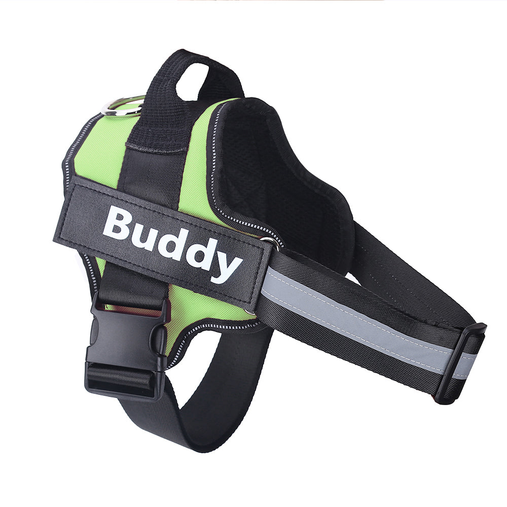 Green and black dog harness with 'Buddy' label on a white background
