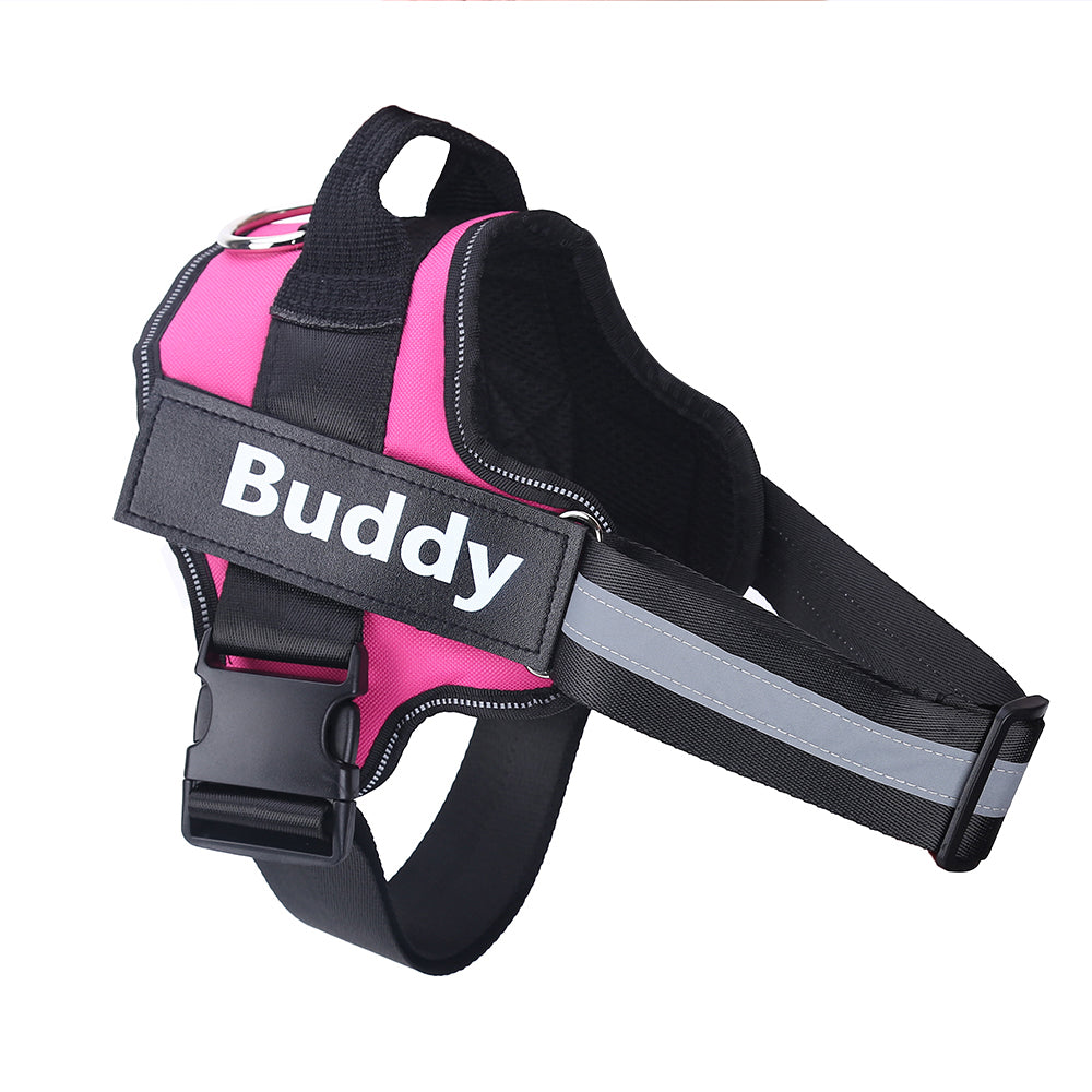 Pink and black dog harness with 'Buddy' branding on a white background