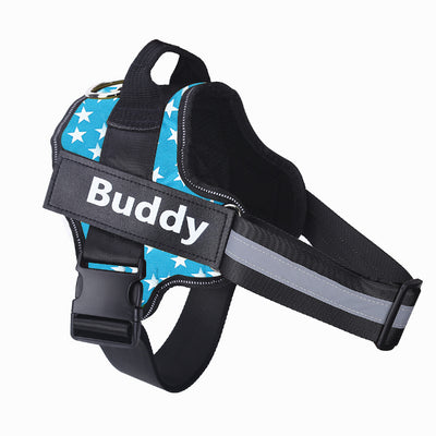 Dog harness with blue star pattern and 'Buddy' text on a white background