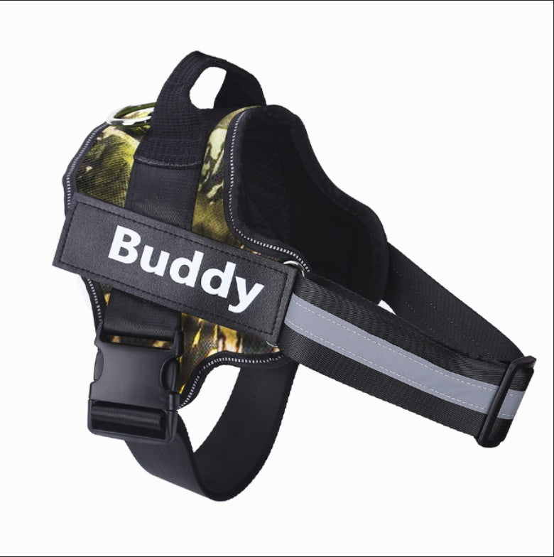 Black dog harness with 'Buddy' label on a white background
