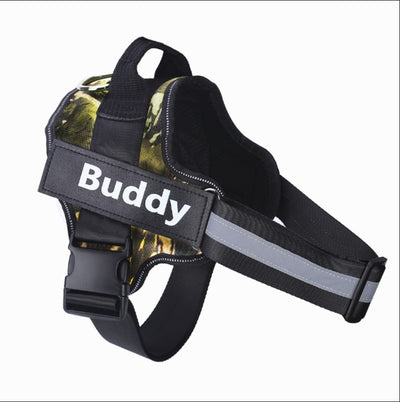 Black dog harness with 'Buddy' label on a white background