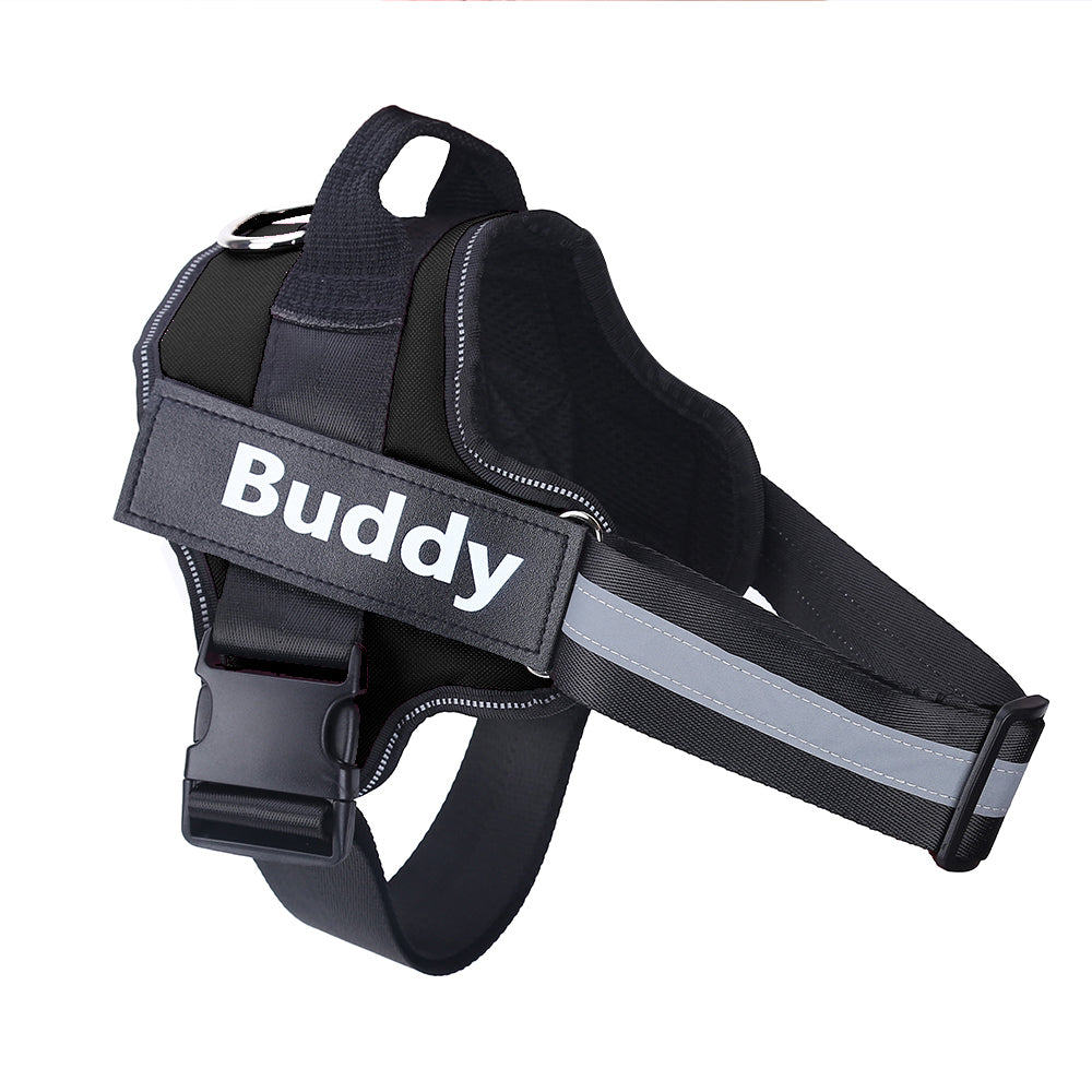 Black dog harness with 'Buddy' label on a white background