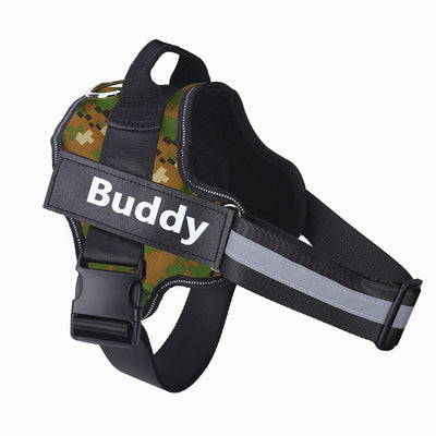 Dog harness with 'Buddy' label on a white background