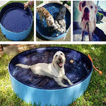 Collage of a dog playing in a blue inflatable pool outdoors.
