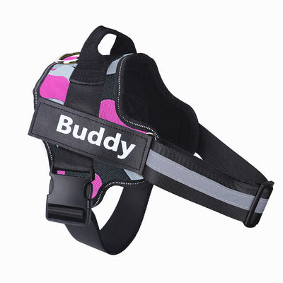 Dog harness with 'Buddy' branding on a white background