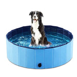 Dog standing in a blue inflatable pool on a white background