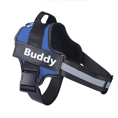 Blue and black dog harness with 'Buddy' label on a white background