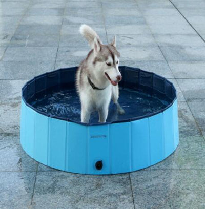 Dog playing in a blue portable dog pool on a tiled floor